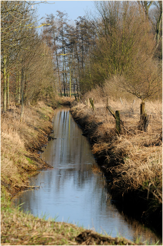 Ilvericher Altrheinschlinge Meerbusch