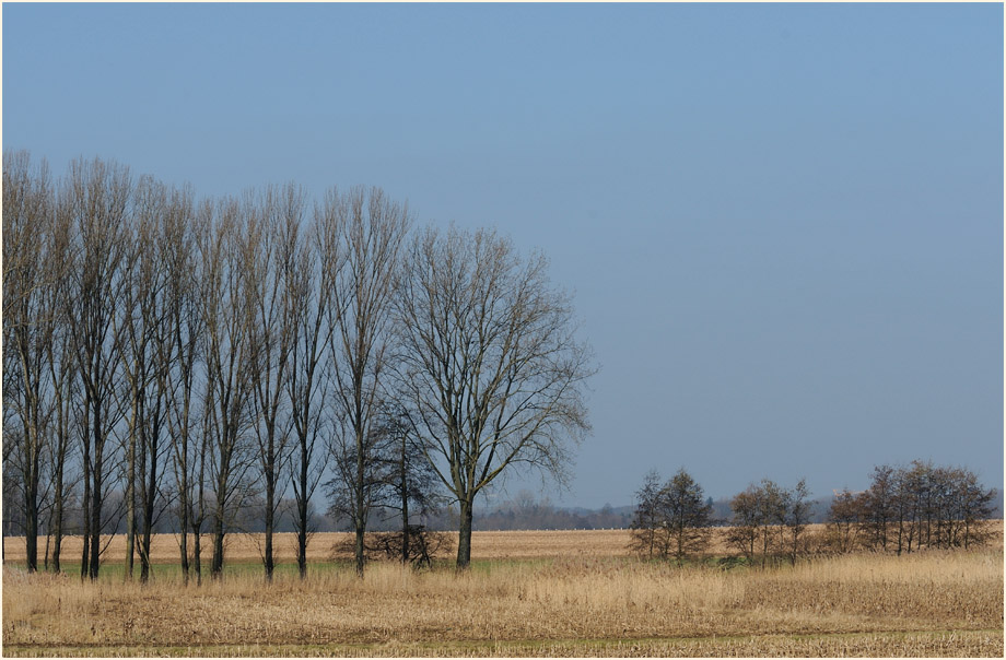 Ilvericher Altrheinschlinge Meerbusch