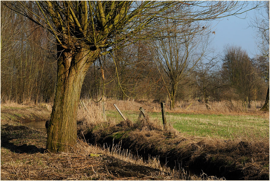 Ilvericher Altrheinschlinge Meerbusch