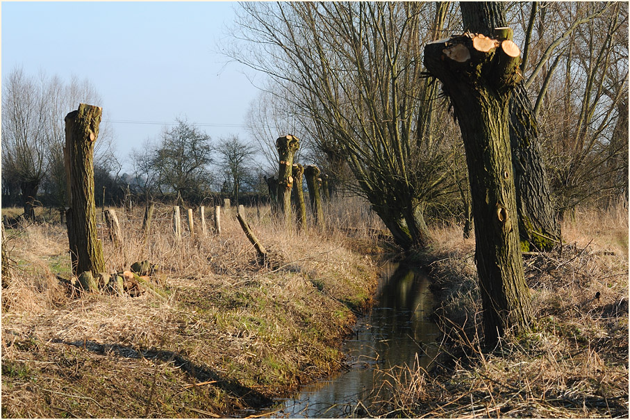 Ilvericher Altrheinschlinge Meerbusch
