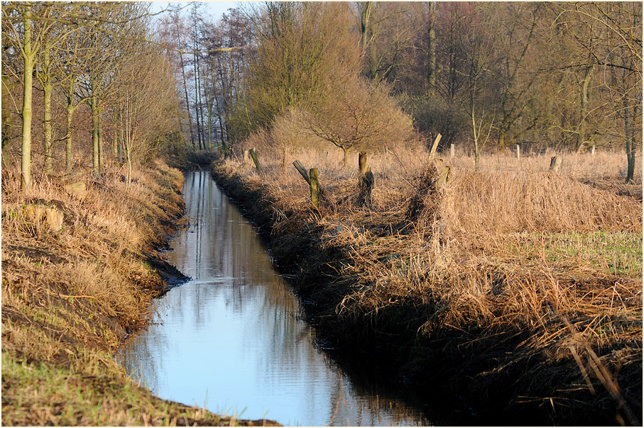 Ilvericher Altrheinschlinge Meerbusch