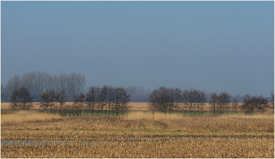 Ilvericher Altrheinschlinge Meerbusch