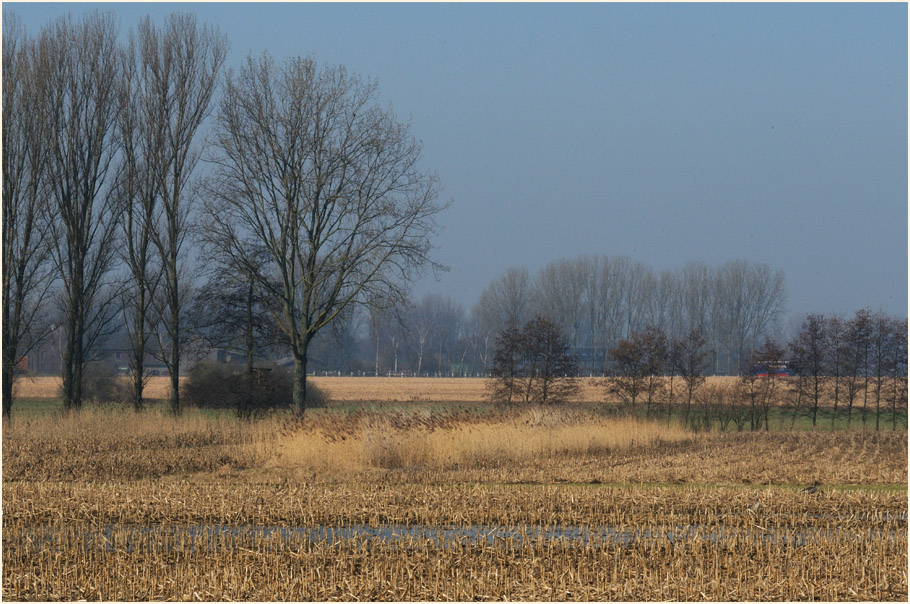 Ilvericher Altrheinschlinge Meerbusch