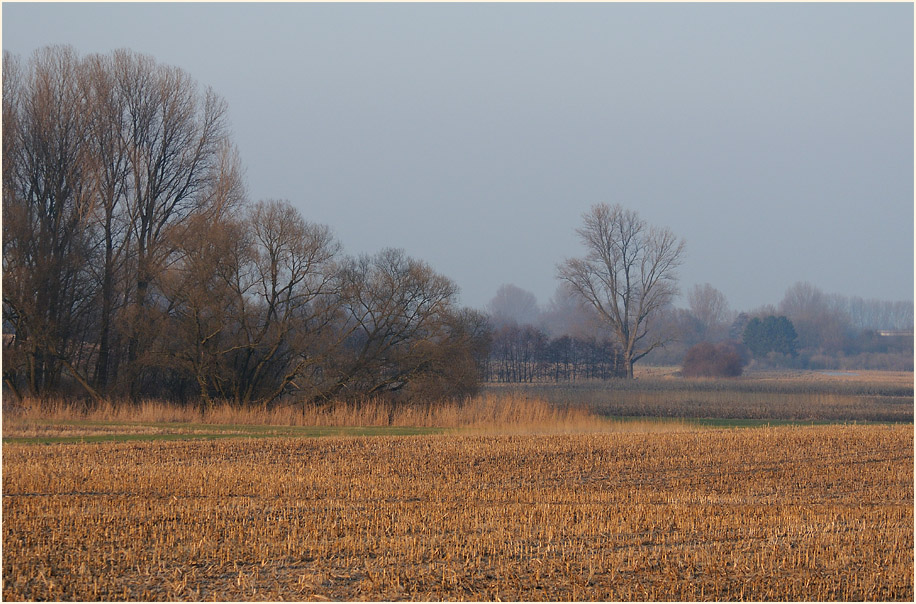 Ilvericher Altrheinschlinge Meerbusch