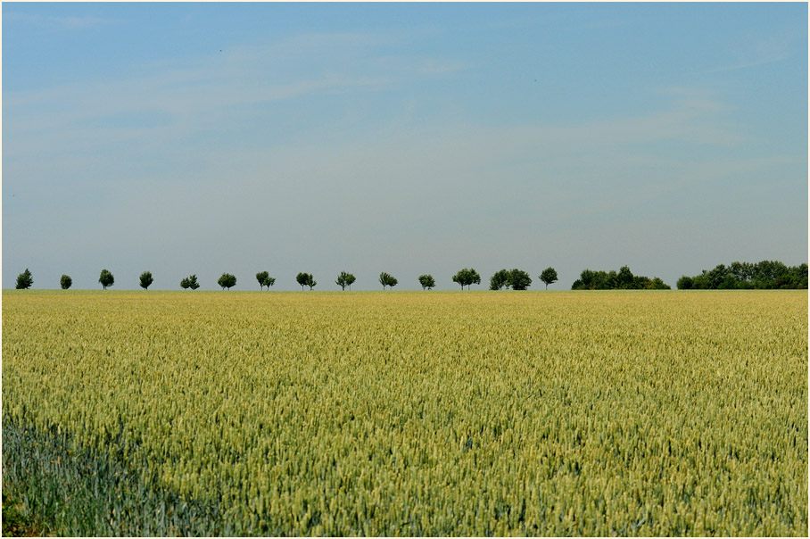 Königshovener Höhe Grevenbroich