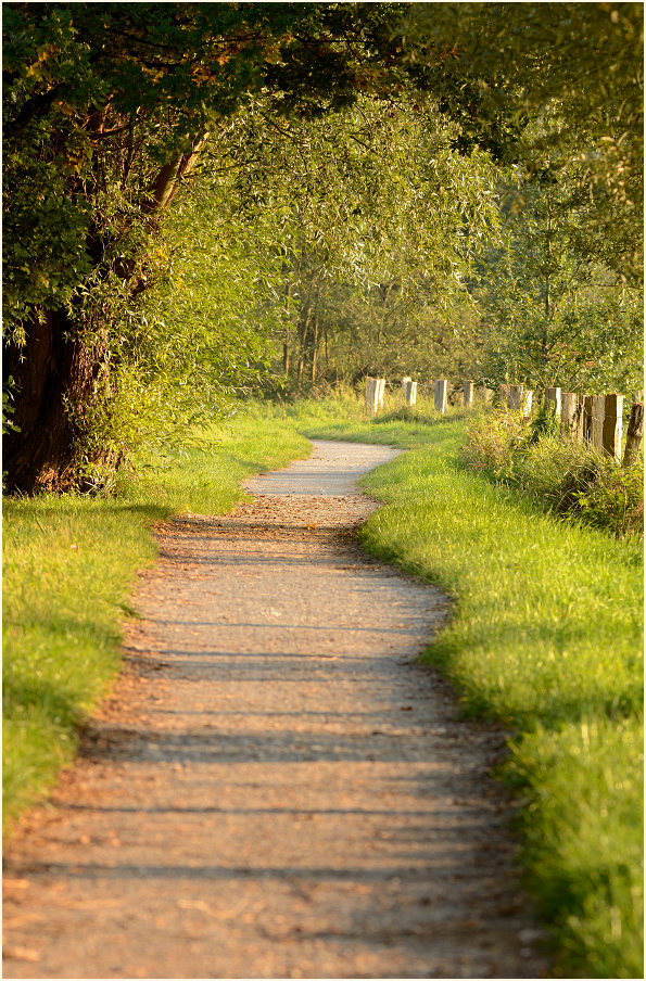 Weg an der Nette, Naturpark Maas-Schwalm-Nette