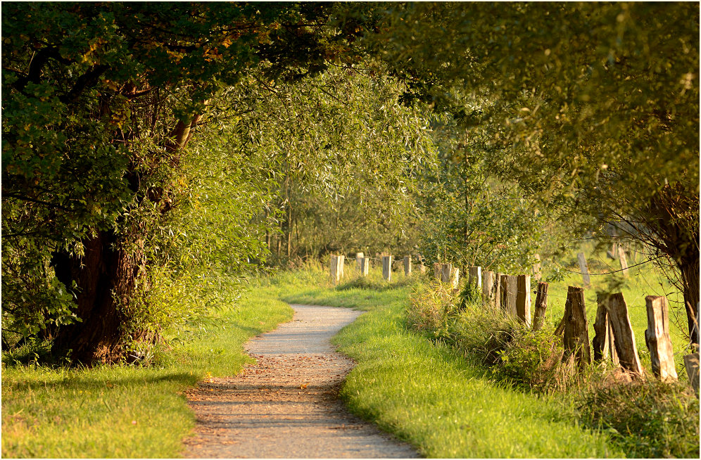 Weg an der Nette, Naturpark Maas-Schwalm-Nette