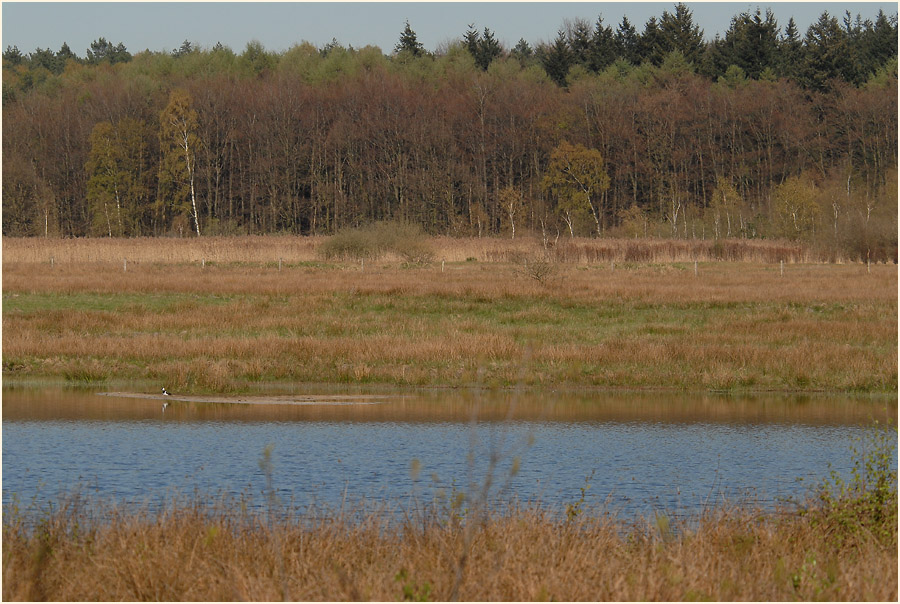 Lüsekamp, Naturpark Maas-Schwalm-Nette