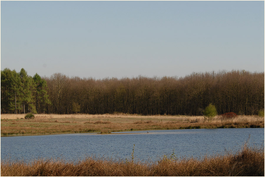 Lüsekamp, Naturpark Maas-Schwalm-Nette
