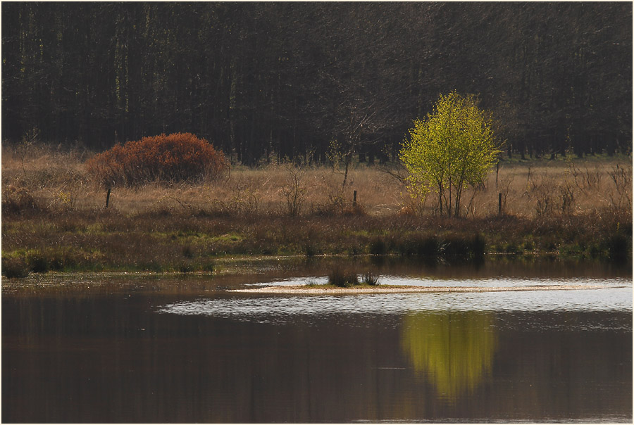 L&uuml;sekamp, Naturpark Maas-Schwalm-Nette