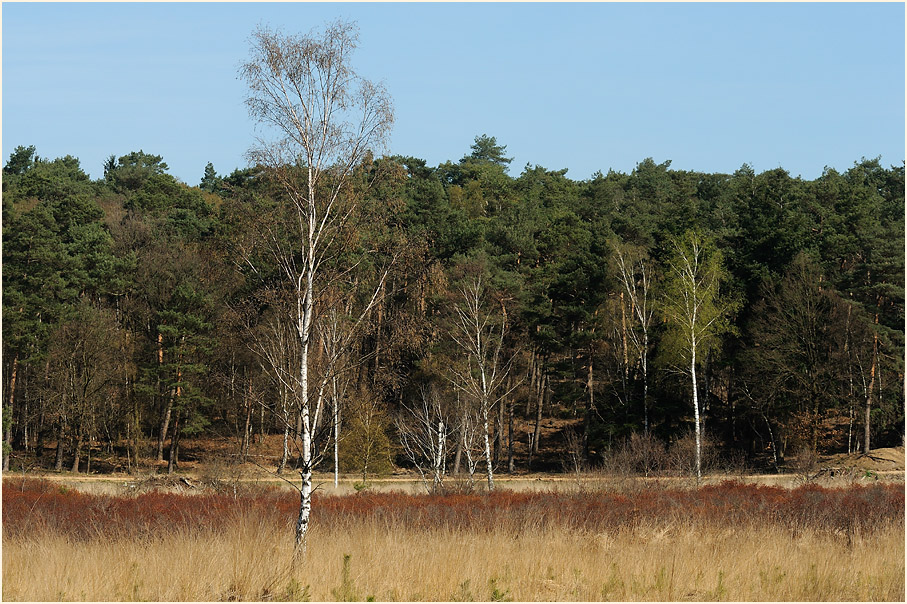 L&uuml;sekamp, Naturpark Maas-Schwalm-Nette