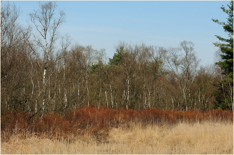 L&uuml;sekamp, Naturpark Maas-Schwalm-Nette