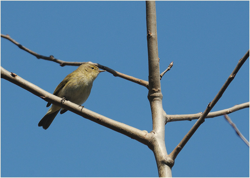 Lüsekamp, Naturpark Maas-Schwalm-Nette