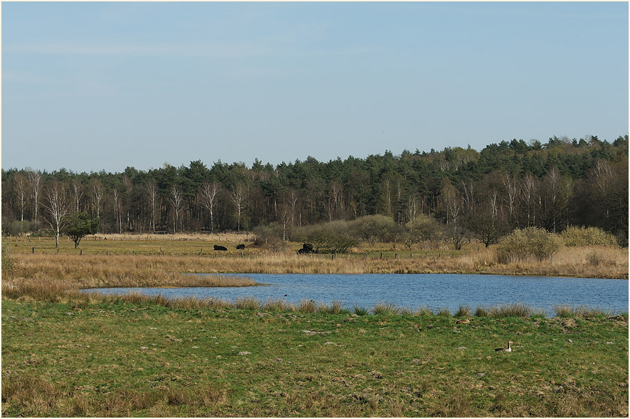 L&uuml;sekamp, Naturpark Maas-Schwalm-Nette
