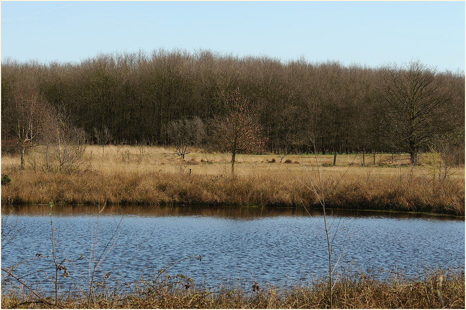 L&uuml;sekamp, Naturpark Maas-Schwalm-Nette