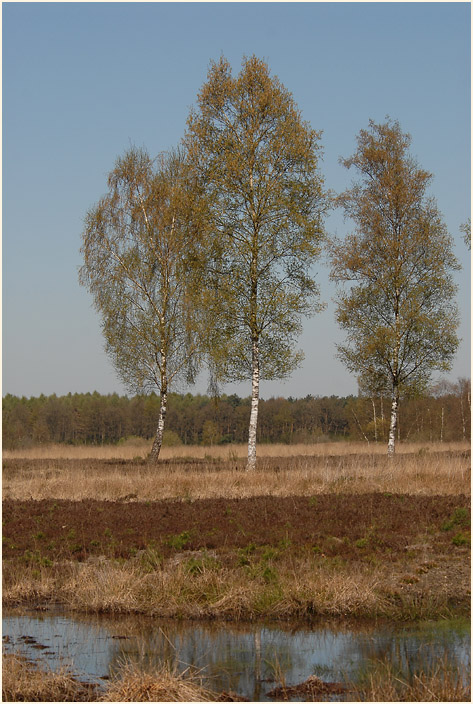 Lüsekamp, Naturpark Maas-Schwalm-Nette
