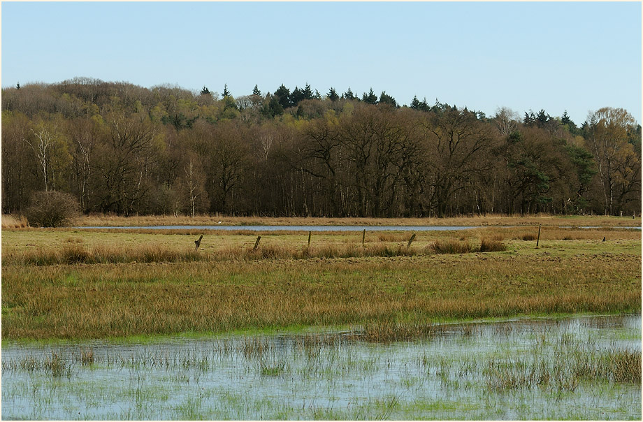 Lüsekamp, Naturpark Maas-Schwalm-Nette
