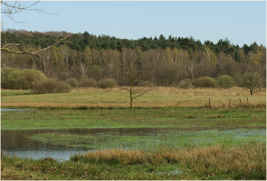 L&uuml;sekamp, Naturpark Maas-Schwalm-Nette