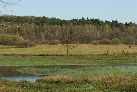 vergrößern