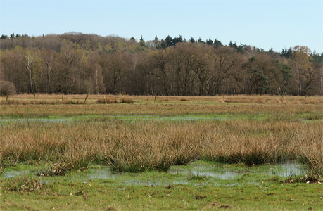 vergrößern