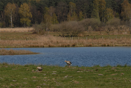 vergrößern