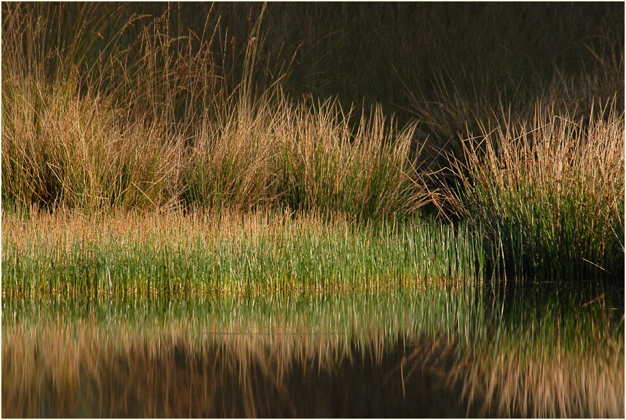 Der Meinweg, Naturpark Maas-Schwalm-Nette