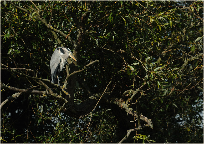 Monheimer Rheinbogen Mettmann