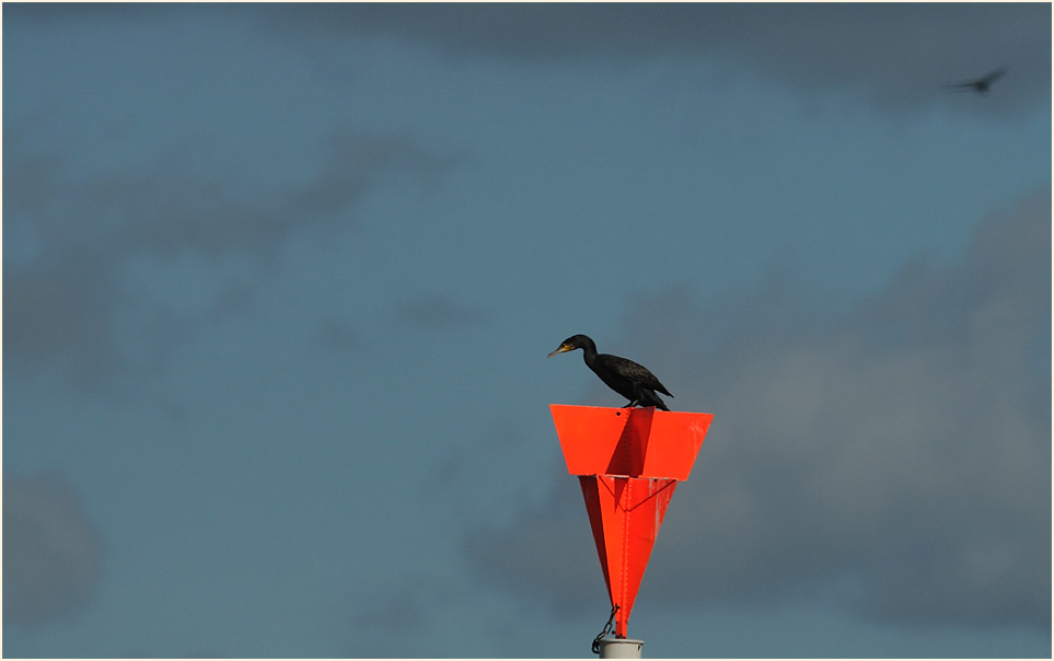 Monheimer Rheinbogen Mettmann