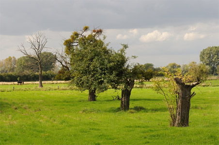 vergrößern