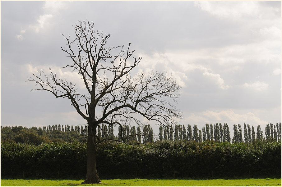 Monheimer Rheinbogen Mettmann