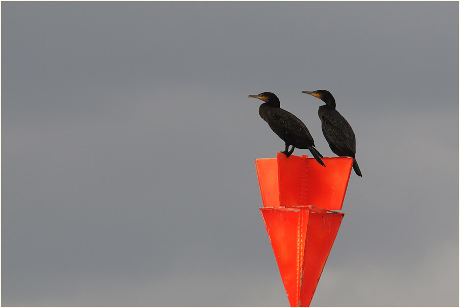 Monheimer Rheinbogen Mettmann
