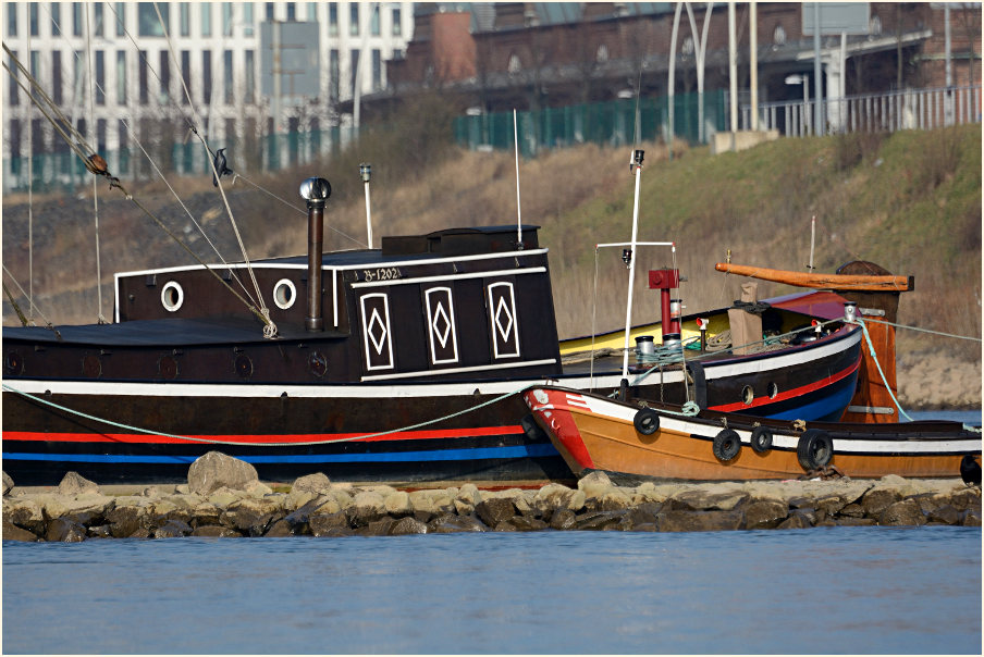 Aalschocker, Monheimer Rheinbogen Mettmann