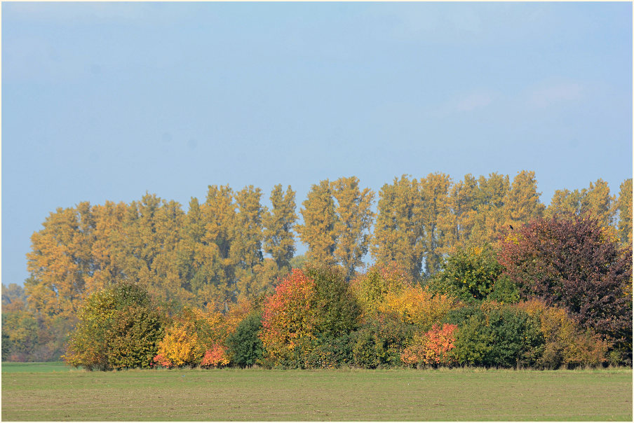 Monheimer Rheinbogen Mettmann