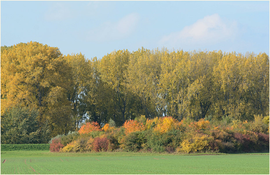 Monheimer Rheinbogen Mettmann