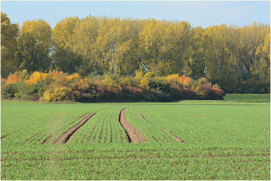 Monheimer Rheinbogen Mettmann