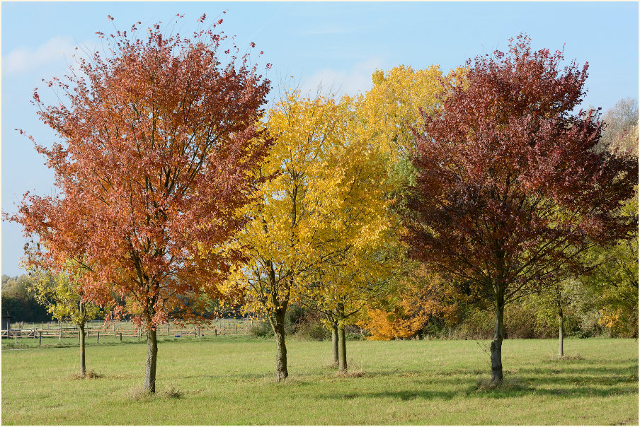 Monheimer Rheinbogen Mettmann