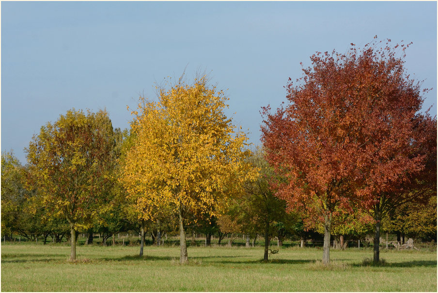Monheimer Rheinbogen Mettmann