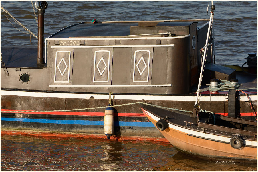 Aalschocker, Monheimer Rheinbogen Mettmann