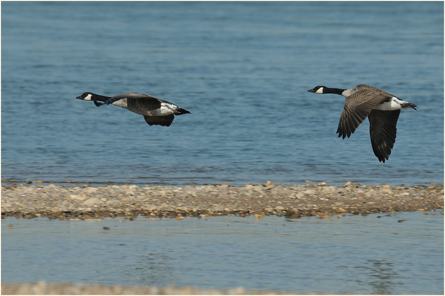 Monheimer Rheinbogen Mettmann