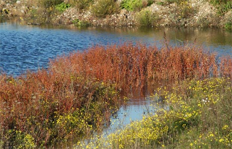 vergrößern