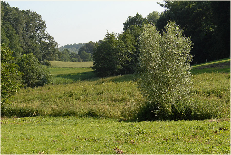Rotthäuser Bachtal Düsseldorf