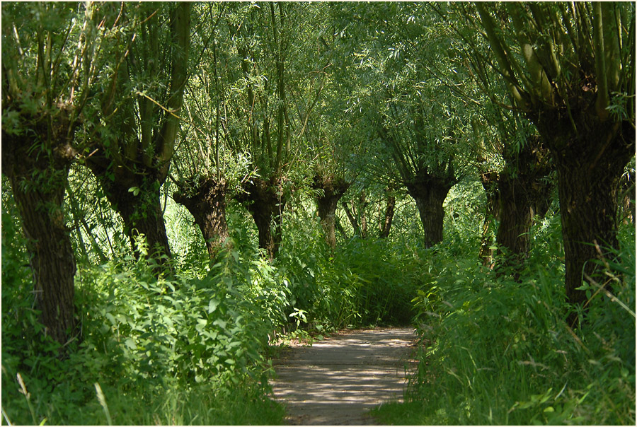 Rotthäuser Bachtal Düsseldorf