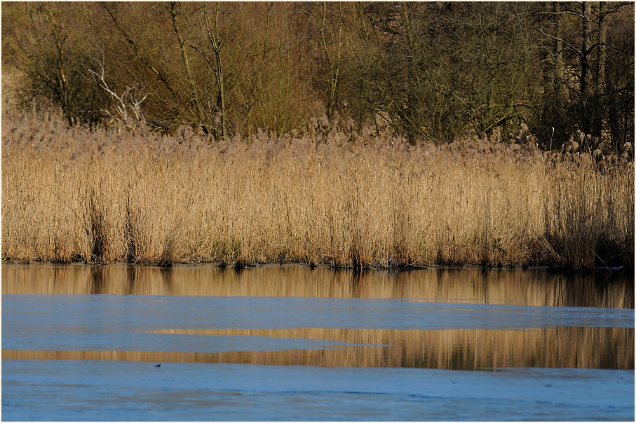 Rotth&auml;user Bachtal D&uuml;sseldorf