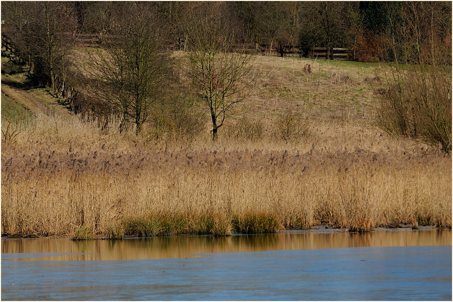 Rotthäuser Bachtal Düsseldorf