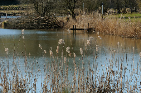 vergrößern