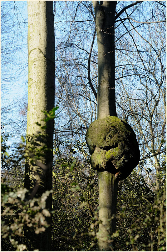 Buchen, Rotthäuser Bachtal Düsseldorf