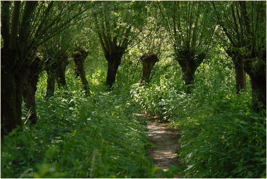 Rotthäuser Bachtal Düsseldorf