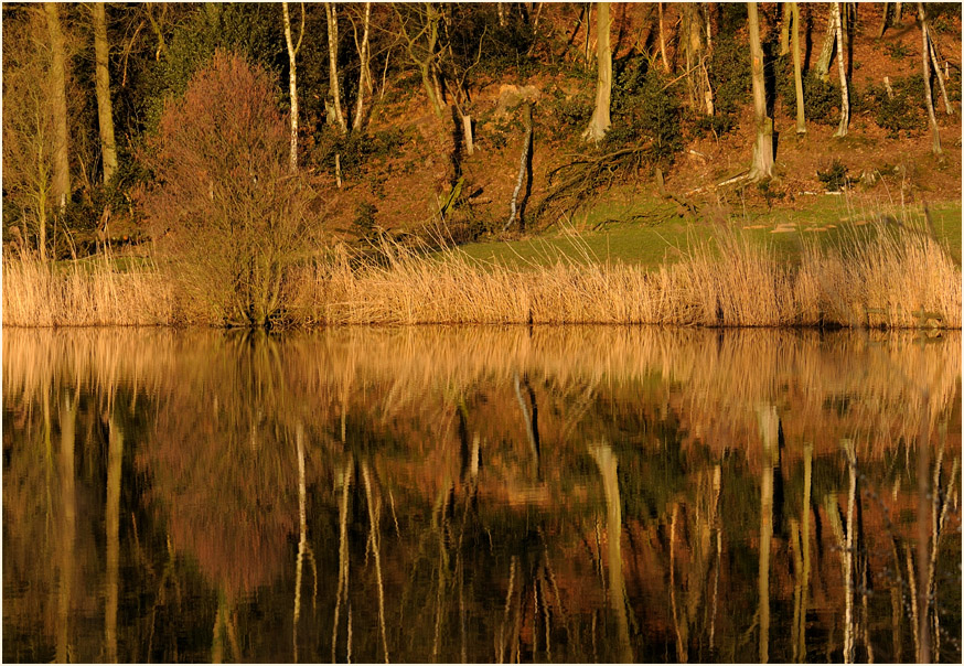 Rotth&auml;user Bachtal D&uuml;sseldorf