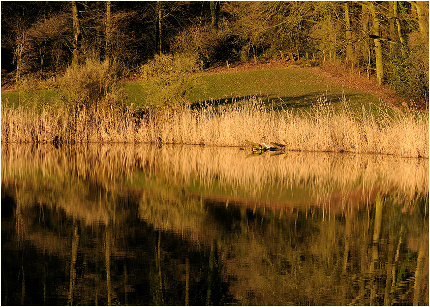 Rotth&auml;user Bachtal D&uuml;sseldorf