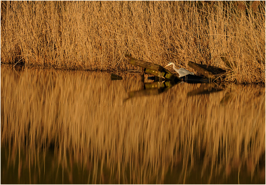 Rotthäuser Bachtal Düsseldorf